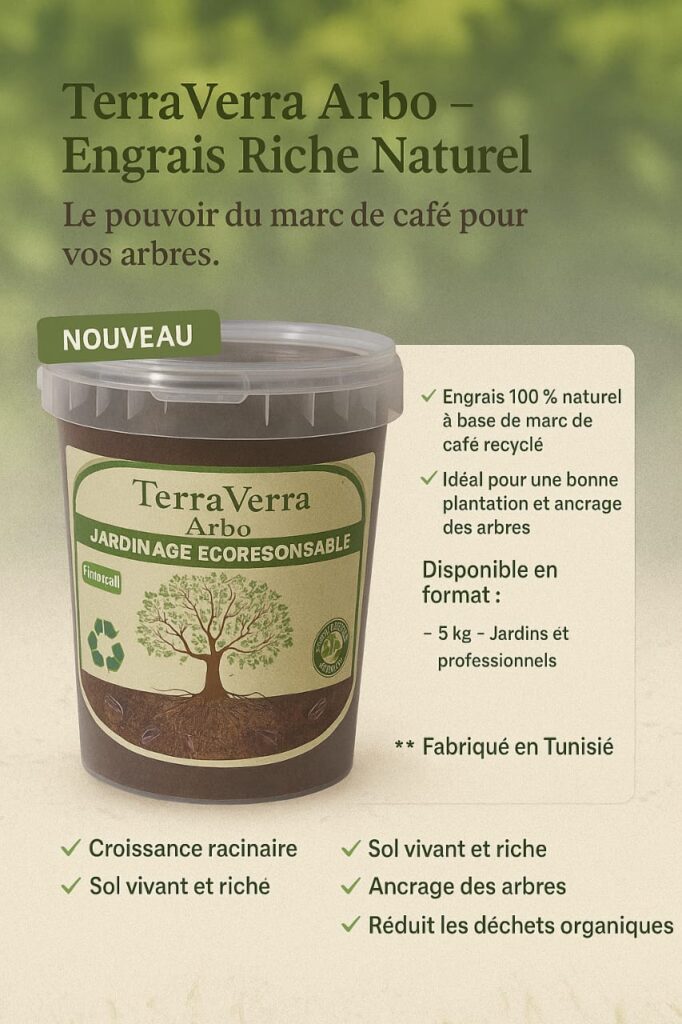 terra verra arbo